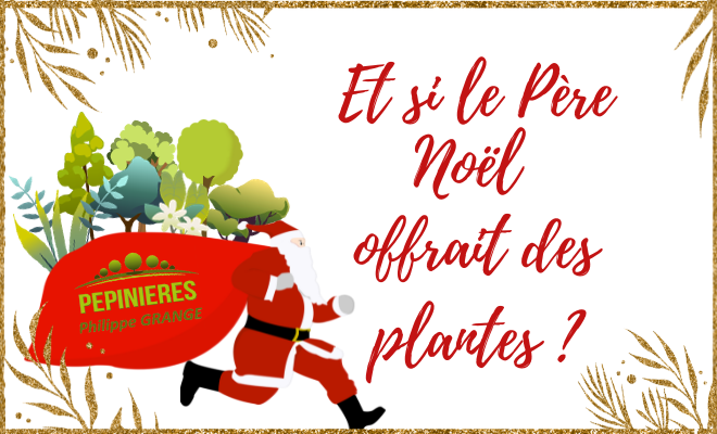 Bons cadeaux magiques du Père Noël! 🎅, Félines, Pépinières Philippe Grange