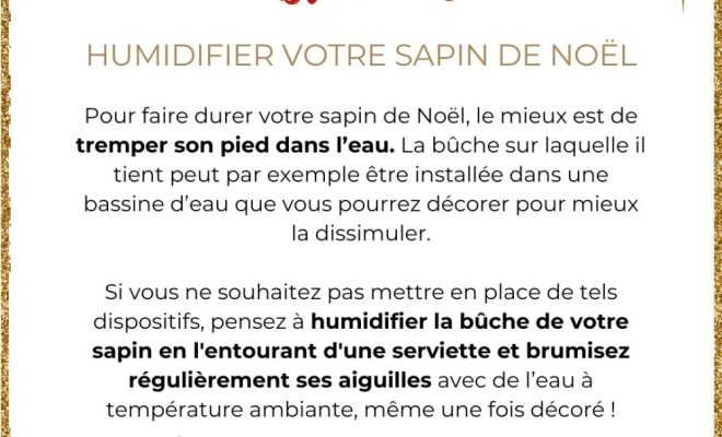 Astuces pour un sapin de noël éblouissant ! , Félines, Pépinières Philippe Grange